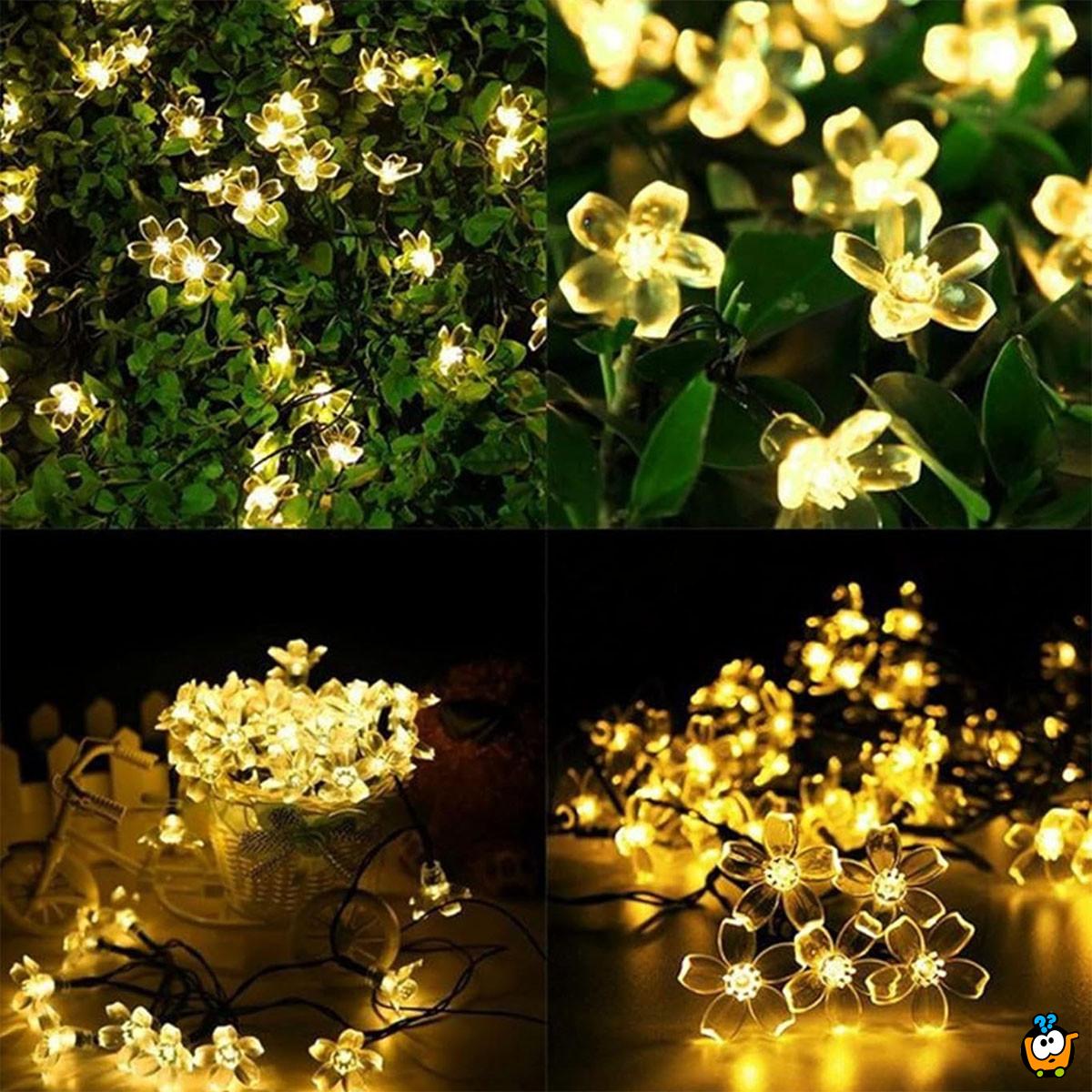 Floral solar lights – Prolećne cvetne LED lampice 6,5m