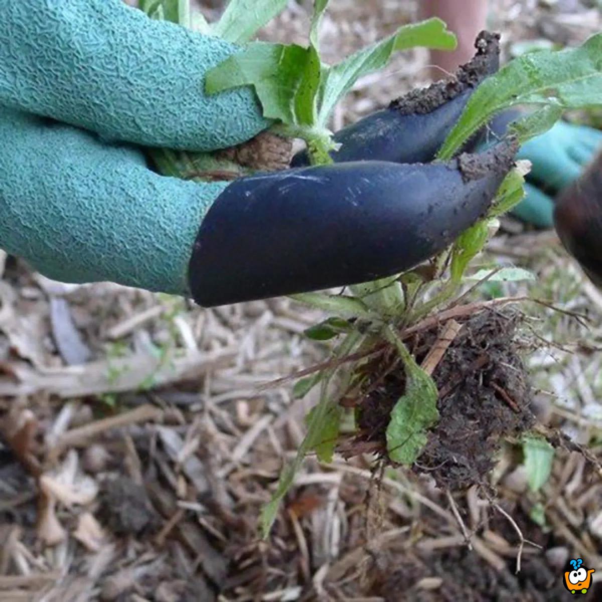 Garden Genie Gloves - Rukavice za baštu sa kandžama