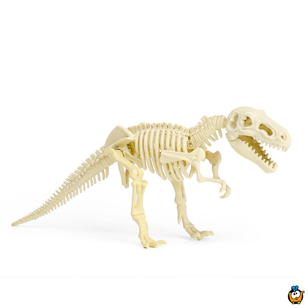 Set dino cigla - Iskopaj fosil dinosaurusa i sastavi skelet