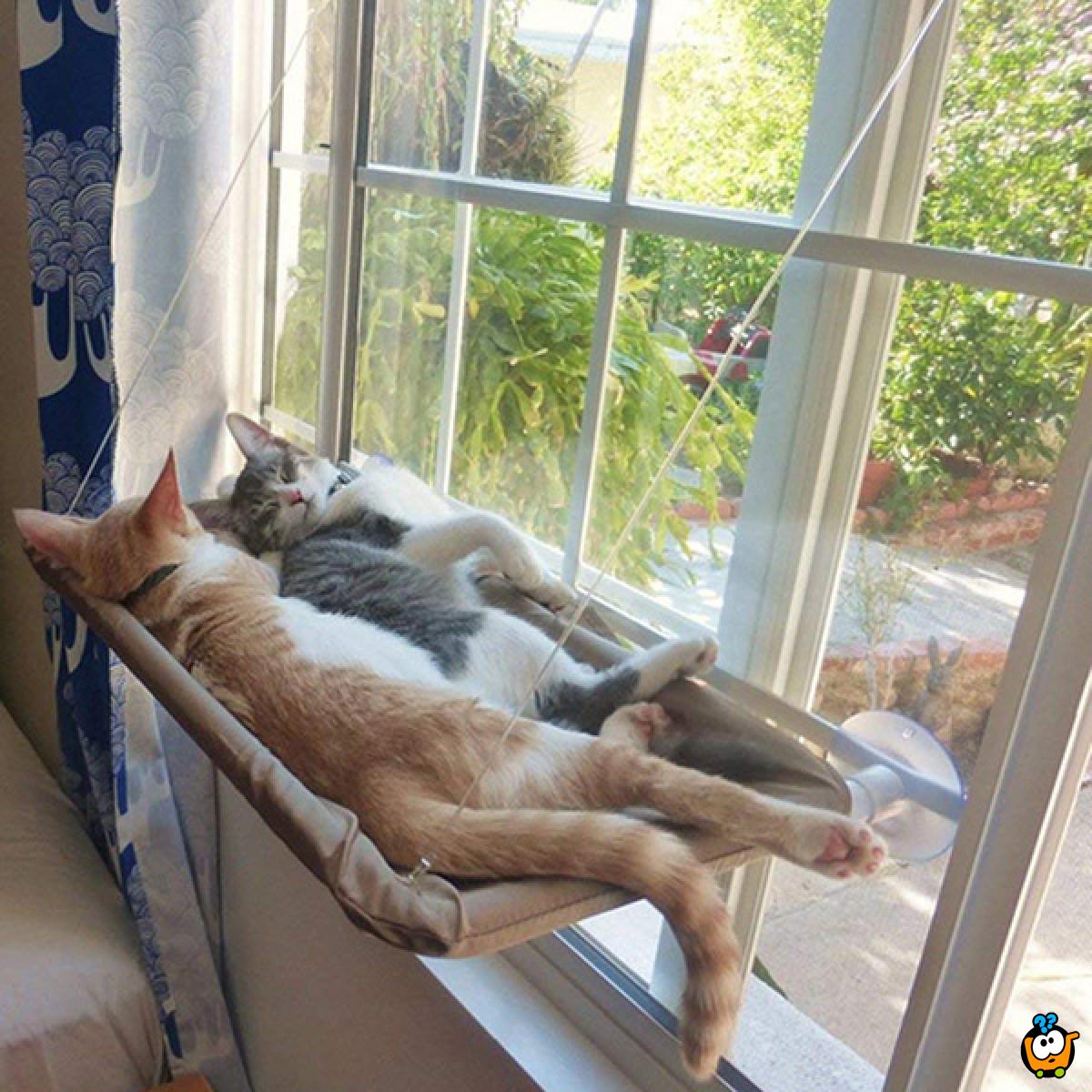 Ležaljka za mace koja se kači na prozor Kuda u Kupovinu