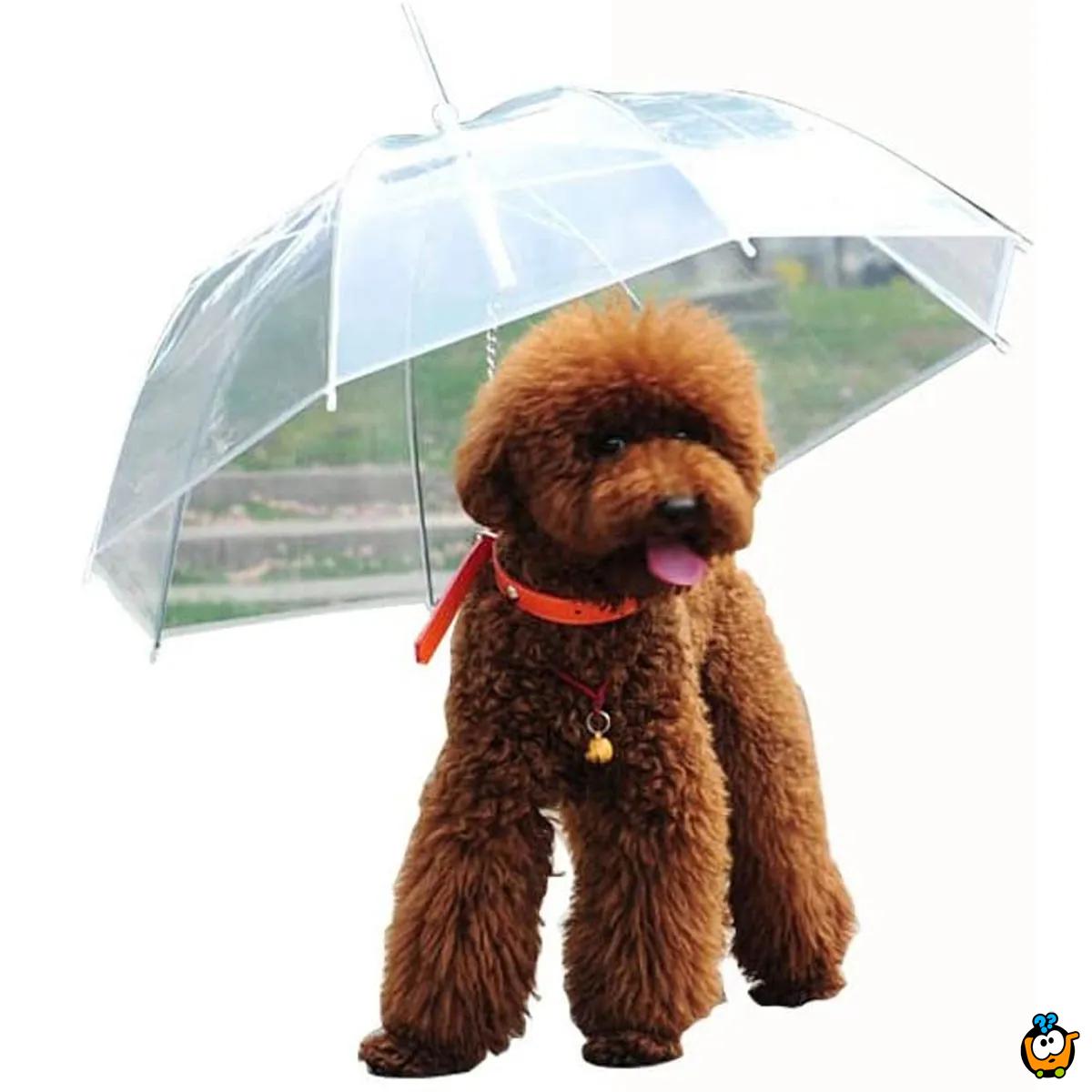 Pet umbrella - Kišobran za kućne ljubimce sa ugrađenim povodcem