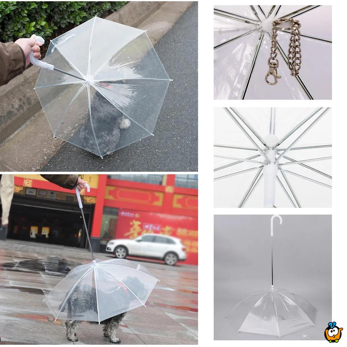 Pet umbrella - Kišobran za kućne ljubimce sa ugrađenim povodcem