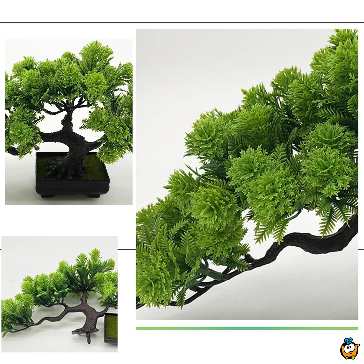 Bonsai plant - veštačka dekorativna biljka