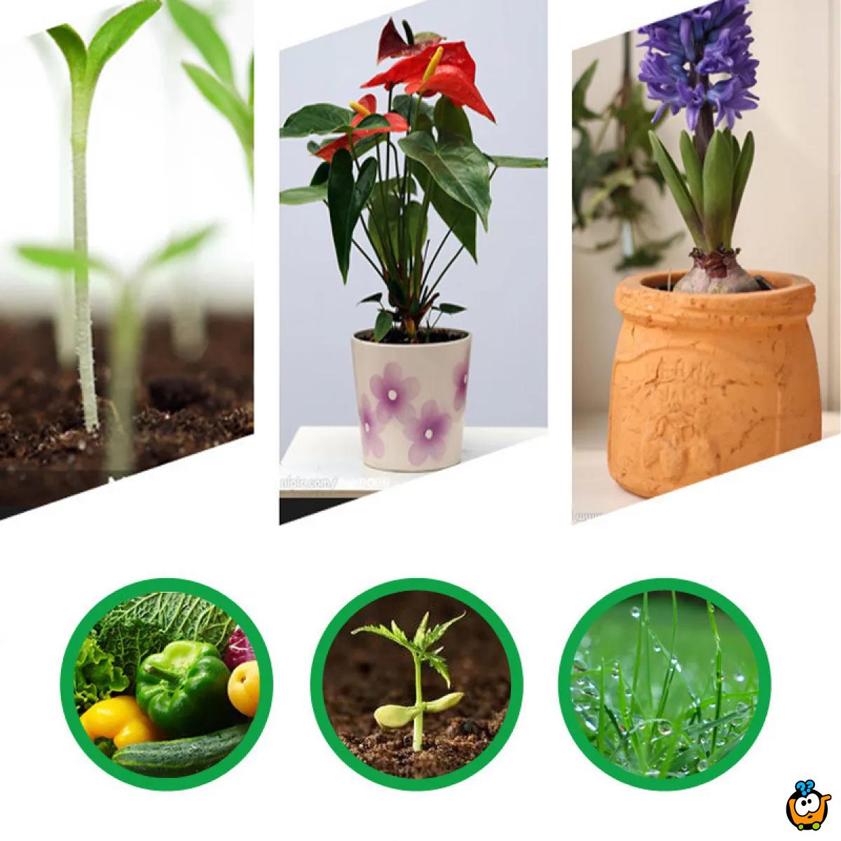 Flower fertilizer - Tečno sredstvo za razvoj biljaka