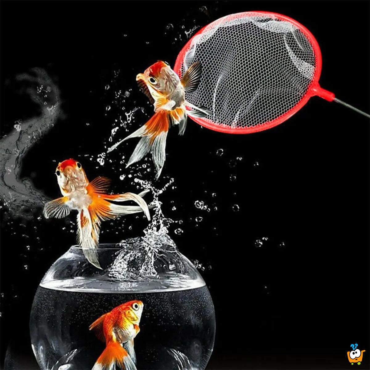 Catch a fish – Mrežica za hvatanje ribica