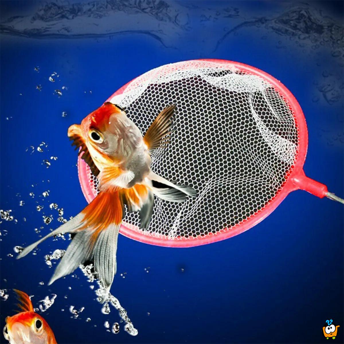 Catch a fish – Mrežica za hvatanje ribica