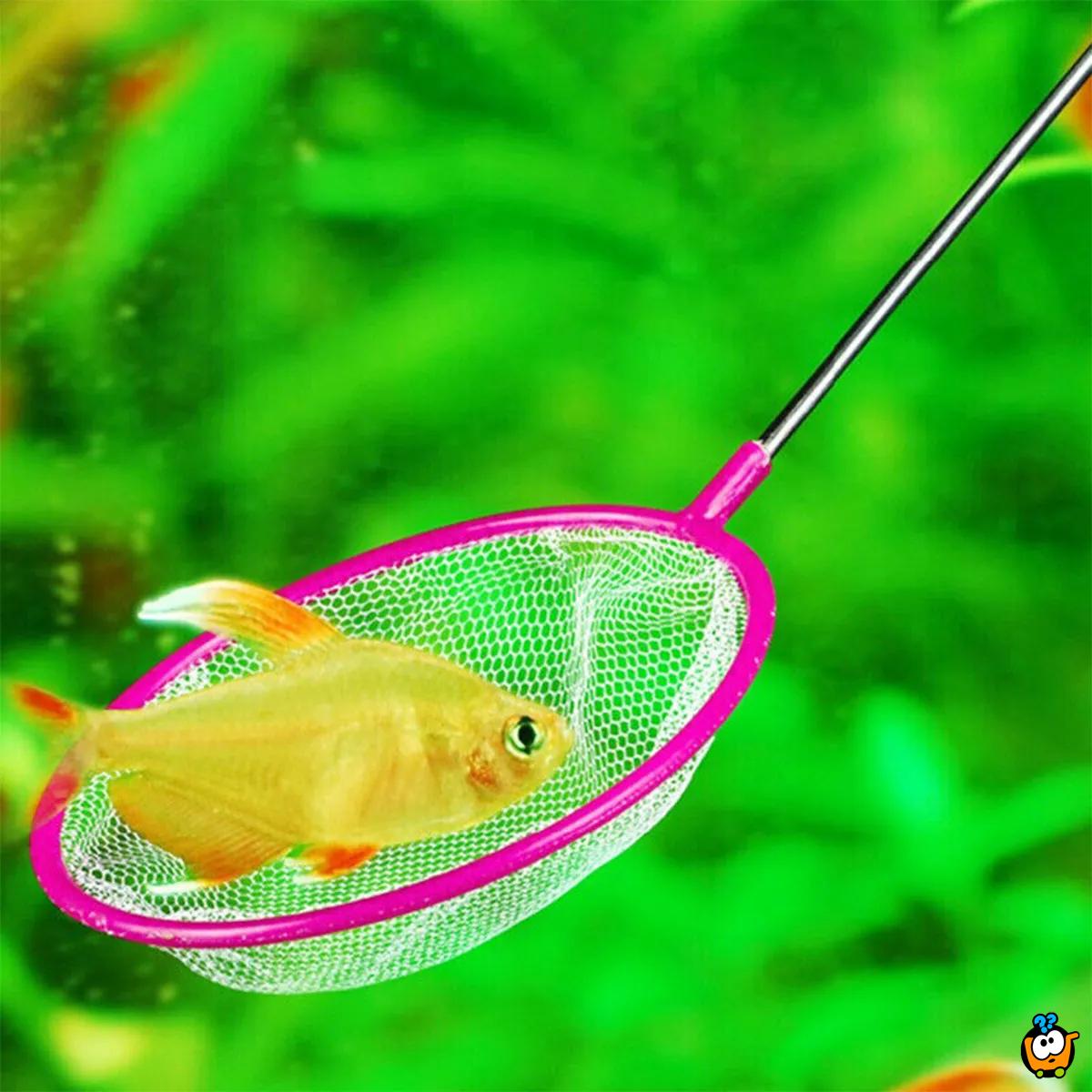 Catch a fish – Mrežica za hvatanje ribica