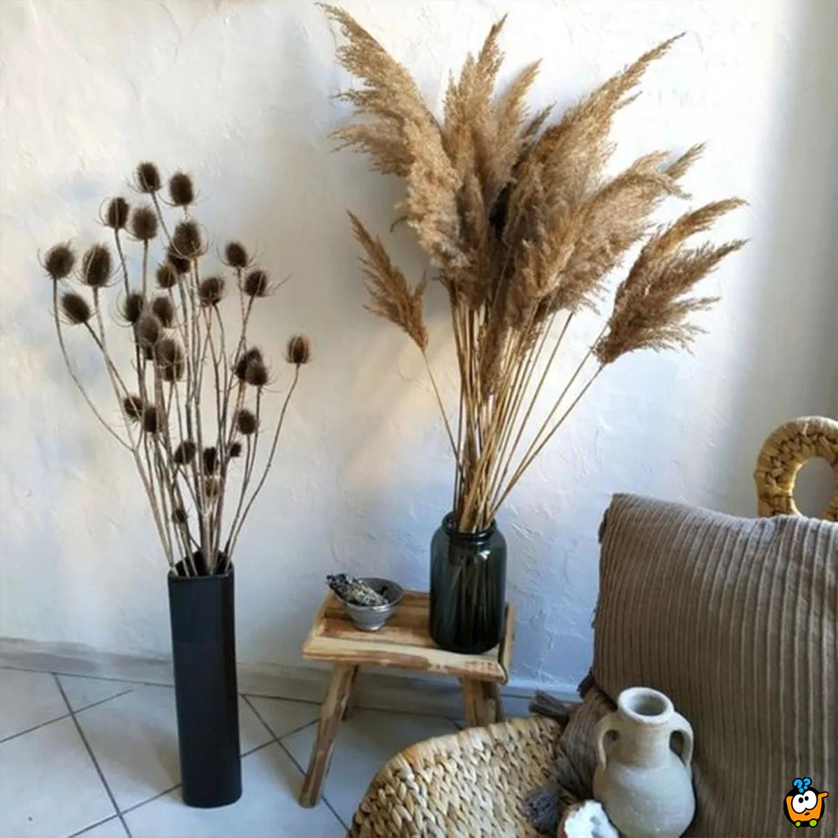 Elegantna trska - veliki ukrasni pampas za dekoraciju doma 110 cm